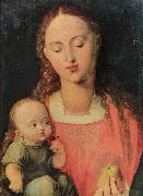 Albrecht Durer Maria mit Kind oil on canvas